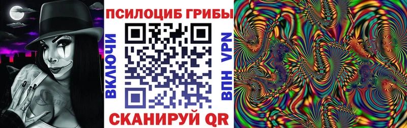 Галлюциногенные грибы мицелий  Купить где  Полярный 